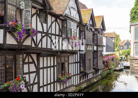 Mittelalterliche Fachwerkhäuser im Zentrum der Stadt Canterbury in England. Stockfoto