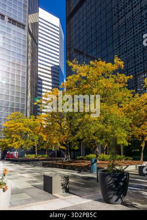 Blick auf die renovierte 16th Street in Downtown Denver, Colorado Stockfoto