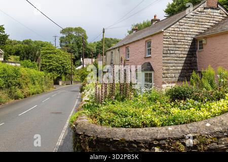 Little Petherick; ein kleines pittoreskes Dorf und zivile Gemeinde im Norden von Cornwall, England, Vereinigtes Königreich. Stockfoto