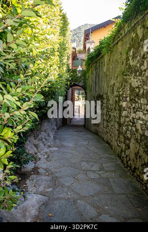 Malerische schmale Straße in Italien mit alten Steinmauern und grünen Büschen, die an einem sonnigen Sommertag zu einer Bogentür führen Stockfoto
