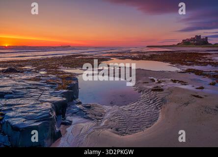 Ein Blick im Sommer bei Sonnenaufgang auf Bamburgh Castle mit Blick über den Strand bei Ebbe in Northumberland mit einem schönen Sonnenaufgang Stockfoto