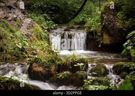Kleiner Waldwasserfall, der über moosige Felsen in üppig grünen Wäldern kaskadiert. Stockfoto