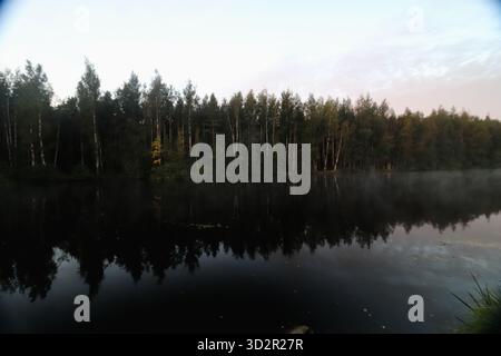 Ein ruhiger wilder See mit einem Ufer von Waldbäumen und deren Reflexion mit Nebel über dem Wasser. Stockfoto