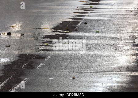 Leere Asphaltstraße an einem regnerischen Herbsttag, bedeckt mit gefallenen Blättern. Stockfoto