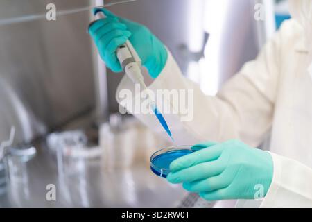 Die Nahaufnahme weiblicher Hände verwendet eine Pipette für die biochemische Analyse und bereitet Agarmedien in einer Petrischale vor Stockfoto
