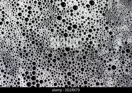 Faszinierendes Muster aus weißen Seifenblasen bedeckt dunkle Oberfläche und schafft einen wunderschönen abstrakten Hintergrund. Die verschiedenen Größen jeder Blase geben Licht und Klarheit Stockfoto