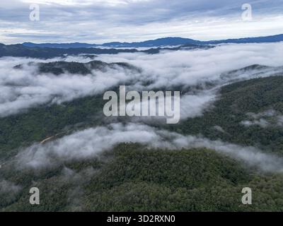 Ruhiger Blick aus der Luft auf majestätische grüne Berglandschaft, bedeckt mit Wolkenmeer. Der beschauliche Nebel füllt das Tal am ruhigen Morgen und sorgt für einen atemberaubenden Blick Stockfoto