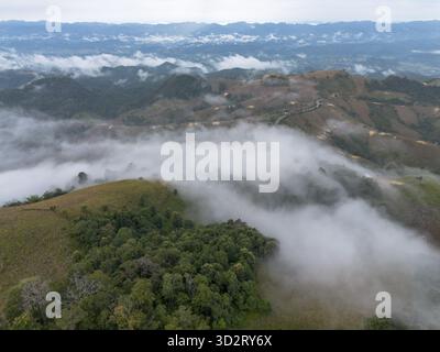 Der Panoramablick aus der Vogelperspektive erfasst die riesige Berglandschaft mit sanften Hügeln und grüner Natur, die aus dickem, ätherischem Nebel hervorgeht. Ruhiger Nebel erzeugt Beau Stockfoto