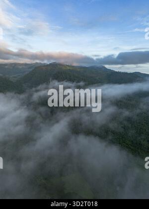 Die weitläufige Vogelperspektive fängt die ruhige Berglandschaft ein. Weicher, wirbelnder Nebel und tief liegende Wolken umhüllen den lebendigen grünen Wald und enthüllen einen majestätischen Gipfel Stockfoto