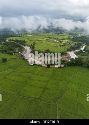Der sich windende Fluss fließt durch die lebhaften grünen Reisfelder. Üppige landwirtschaftliche Landschaft, ruhige natürliche Umgebung, bewölkter Himmel darüber. Umfangreich Stockfoto