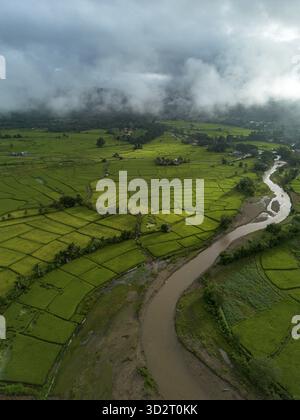 Der sich windende Fluss fließt anmutig durch leuchtende grüne Reisfelder und schafft eine ruhige, weitläufige landwirtschaftliche Landschaft mit weichem, bewölktem Himmel. Friedliche Luft Stockfoto