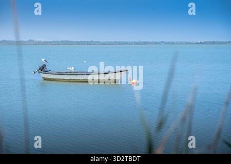 Kleines hölzernes Fischerboot mit einer rot-orangen Boje und zwei Möwen, das auf dem ruhigen Wasser des Etang de Canet-Saint-Nazaire, Frankreich, verankert ist Stockfoto