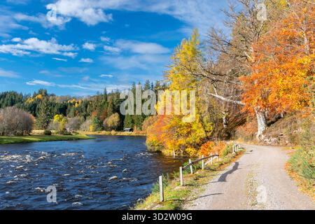 River Spey Aberlour Scotland Wester Elchies Fischerhütte Hochwasser und Bäume im Herbst Stockfoto
