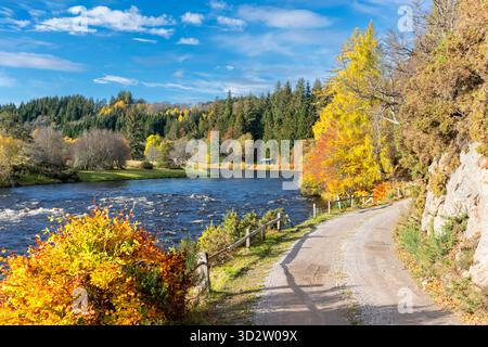 River Spey Aberlour Scotland Wester Elchies Fischerhütte sehr hohes Wasser und Bäume im Herbst Stockfoto