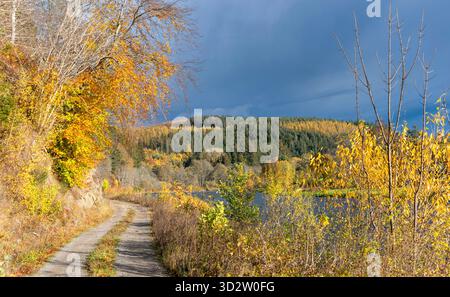 River Spey Aberlour Scotland Wester Elchies Road und Bäume im Herbst Stockfoto