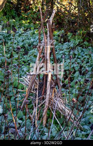 Wildtiere-freundlicher Insektenschutz im Wintergarten aus Zweigen Stockfoto