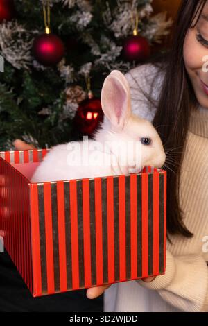Die Frau hält ein kleines weißes Kaninchen in roter und schwarzer Box neben dem Weihnachtsbaum Stockfoto