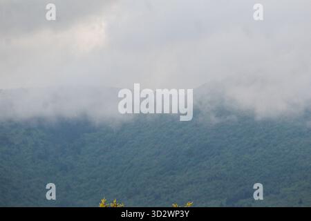 Bewölktes Wetter und tief liegende Wolken über bewaldeten Berggipfeln, die die Ruhe der unberührten Natur einfangen. Stockfoto