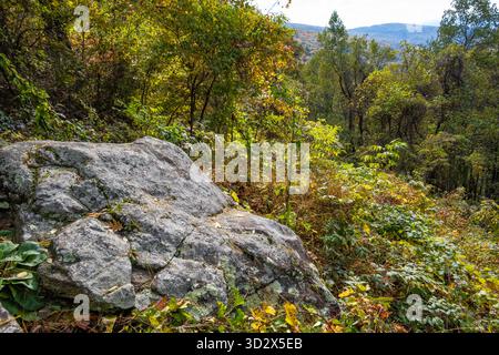 Blick auf den Appalachian Trail von Mountain Crossings bei Neel Gap in den North Georgia Mountains in der Nähe von Blairsville. (USA) Stockfoto