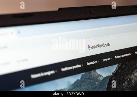 New York, USA – 20. Januar 2025: Die Purplebricks-Website wird auf einem Bildschirm angezeigt Stockfoto