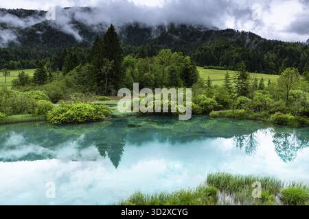 Alpines Gelassenheit: Naturschutzgebiet Zelenci im Sommer, Slowenien Stockfoto