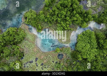 Naturschutzgebiet Zelenci in Slowenien. Bergfeuchtgebiete mit türkisfarbenem See, seltenen Pflanzen und Watvögeln. Drohnenansicht aus der Luft, Slowenien Stockfoto
