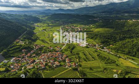 Blick auf die grünen Rolling Hills und die Weinberge im Vipava-Tal, Slowenien Stockfoto