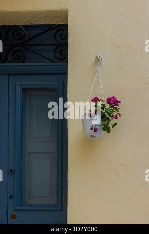 Hängender Blumentopf von blauer Tür gegen gelbe Wand: Bunte Outdoor-Dekorationsszene Stockfoto