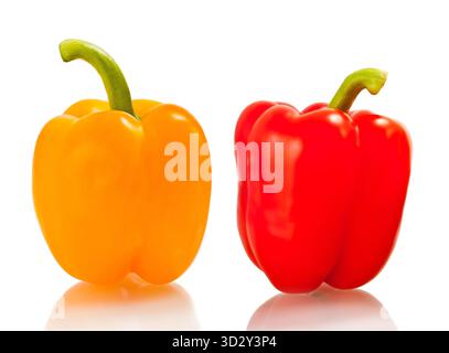 Rote und gelbe Paprika isoliert auf weißem Hintergrund Stockfoto