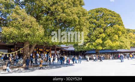 Tokio, Japan - 14. März 2025: Zentraler Platz des Meiji Jingu Tempelbereichs in Shibuya Tokio Stockfoto