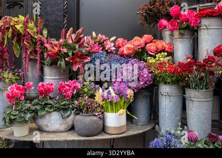 Ein außergewöhnlich farbenfrohes und dichtes Blumenarrangement mit tiefroten Rosen, hellrosa Zyklamen, lila Hortensie und magentafarbenen Lilien, präsentiert in V Stockfoto