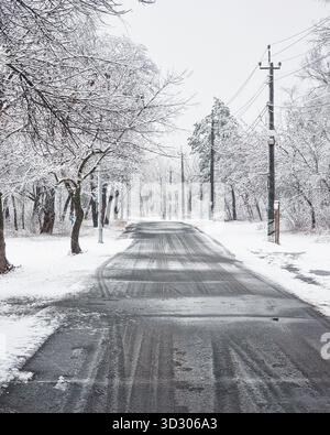 Winterstraße. Schwindender Blick auf eine Straße durch einen Winterwald an einem bewölkten Tag. Schneebedeckte Bäume und Straße bedeckt mit Schlammeis. Stockfoto