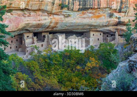 Fichtenbaum Haus Ruin, Mesa Verde Nationalpark, Ute Indian Reservation, Montezuma Co. Colorado Stockfoto