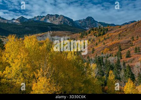 Aspen, Populus Tremula, Eiche, Quercus Gambelii, Sneffels Sortiment, Dallas Divide, Uncompahgre National Forest, Colorado Stockfoto