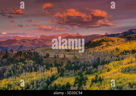 Sonnenuntergang, Aspen, Populus Tremula, Dallas Divide, Uncompahgre National Forest, Colorado Stockfoto