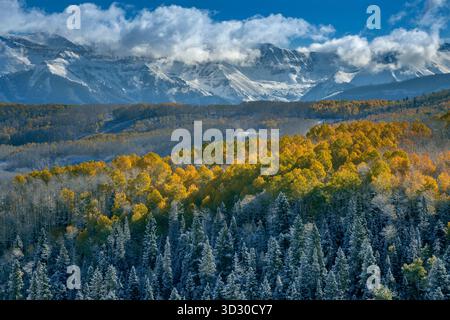 Räumungssturm, Aspen, Populus Tremula, Wilson Mesa, Uncompahgre National Forest, Colorado Stockfoto
