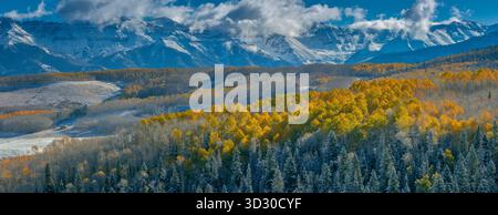 Räumungssturm, Aspen, Populus Tremula, Wilson Mesa, Uncompahgre National Forest, Colorado Stockfoto