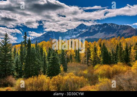 Wilson Peak, Aspen, Wilson Mesa, Uncompahgre National Forest, Colorado Stockfoto