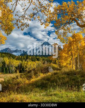 Aspen, Populus tremula, Mount Sneffels, Dallas Divide, Uncompahgre National Forest, Colorado Stockfoto