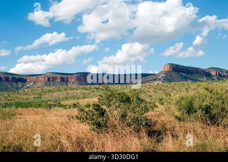 Rote Steilhänge in der Kimberley-Region unter blauem Himmel mit verstreuten Wolken und trockener Savannenvegetation Stockfoto