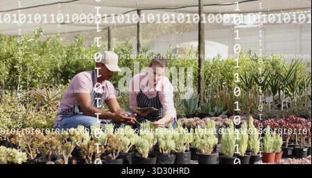 Kindergärtner mit Schürzen, die Smartphones und Tablets im Gewächshaus auf saftiges Laub überprüfen Stockfoto