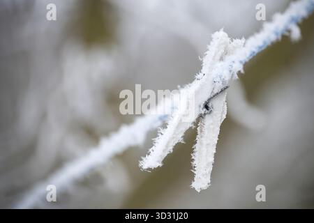 Nahaufnahme eines Frostseils mit zarten Eiskristallen, die an Fasern an einem stillen Wintermorgen haften. Erinnert an kalte, ruhige und einfache Outdoor-Umgebungen Stockfoto