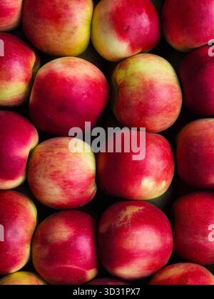 Hintergrund reifer roter und gelber Äpfel. Nahaufnahme Apple Pattern.Fresh Harvest Apfel Stockfoto