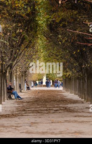 Paris, Frankreich - 24. Oktober 2025 : Blick auf die öffentlichen Gärten des Königspalastes in Paris, wo die Menschen auf Bänken sitzen und einen Spaziergang genießen Stockfoto