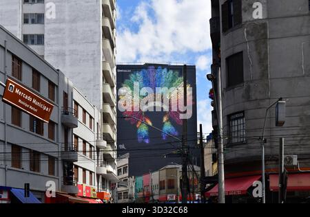 Graffiti an der Fassade eines Gebäudes in der Nähe des Mercado Municipal in Sao Paulo Downtown, Brasilien Stockfoto