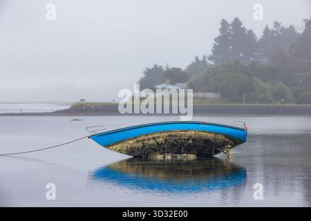 Ein altes und möglicherweise verlassenes Boot, das auf seiner Seite liegt und seinen stark verschmutzten Rumpf freilegt. Otago Harbour, Neuseeland Stockfoto