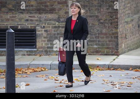 London, Großbritannien. November 2025. London, Vereinigtes Königreich - 4. November 2025. Jo Stevens Abgeordneter, Secretary of State for Wales, kommt zur Kabinettssitzung in Downing Street 10. Quelle: Uwe Deffner/Alamy Live News Stockfoto