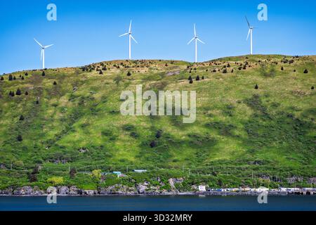 Windturbinen, Teil eines integrierten Wind-Wasserkraft-Diesel-Systems in Pillar Mountain, Kodiak, Kodiak Island, Alaska, USA. Stockfoto