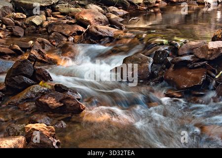 Ein kleiner Gebirgsbach fließt sanft über ein Flussbett. Stockfoto
