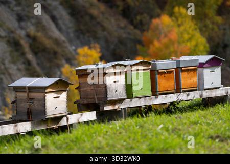 Bienenstöcke von Honigbienen, die in den Schweizer alpen in einer Reihe stehen. Rhonetal, Schweiz, Europa Stockfoto